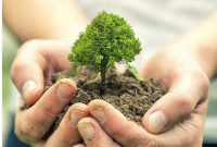 کاشت ۱۵۰ هزار نهال در شهرستان ایذه آغاز شد