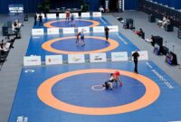 ایذه با ۵ نماینده در مسابقات جهانی کشتی ۲۰۲۵ زاگرب؛ سبقت از جویبار و حضور دو تابعیت ایذه با ۵ نماینده در مسابقات جهانی کشتی ۲۰۲۵ زاگرب؛ سبقت از جویبار و حضور دو تابعیت